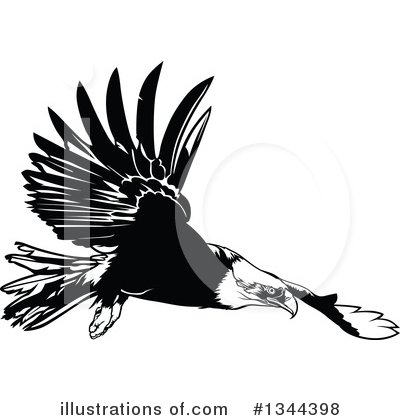 Royalty-Free (RF) Bald Eagle Clipart Illustration by dero - Stock Sample #1344398