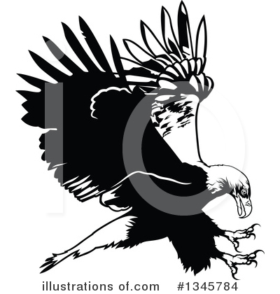 Royalty-Free (RF) Bald Eagle Clipart Illustration by dero - Stock Sample #1345784