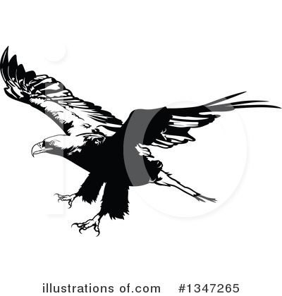Royalty-Free (RF) Bald Eagle Clipart Illustration by dero - Stock Sample #1347265