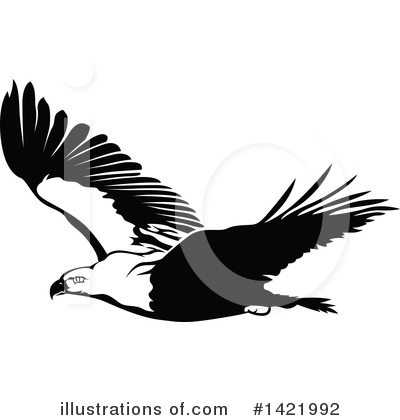 Royalty-Free (RF) Bald Eagle Clipart Illustration by dero - Stock Sample #1421992