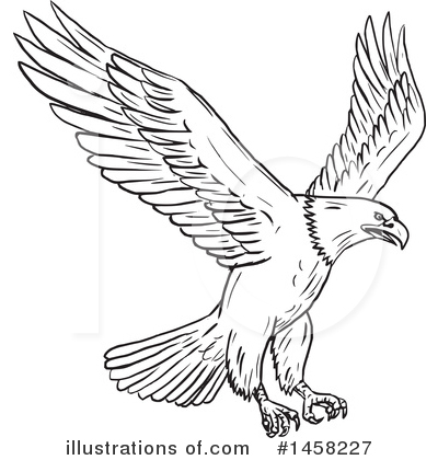 Royalty-Free (RF) Bald Eagle Clipart Illustration by patrimonio - Stock Sample #1458227