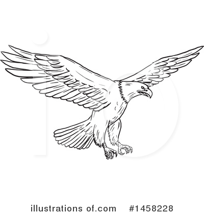 Royalty-Free (RF) Bald Eagle Clipart Illustration by patrimonio - Stock Sample #1458228