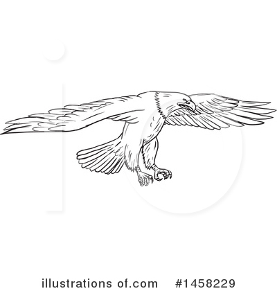 Royalty-Free (RF) Bald Eagle Clipart Illustration by patrimonio - Stock Sample #1458229