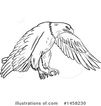 Royalty-Free (RF) Bald Eagle Clipart Illustration by patrimonio - Stock Sample #1458230