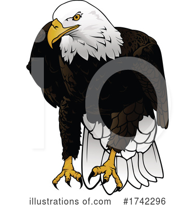 Royalty-Free (RF) Bald Eagle Clipart Illustration by dero - Stock Sample #1742296