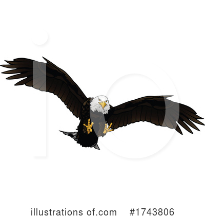 Bald Eagle Clipart #1743806 by dero