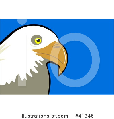 Royalty-Free (RF) Bald Eagle Clipart Illustration by Prawny - Stock Sample #41346