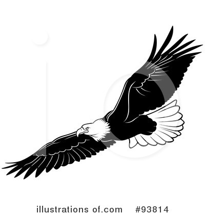 Royalty-Free (RF) Bald Eagle Clipart Illustration by dero - Stock Sample #93814