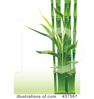 Bamboo Clipart #37567 by Eugene