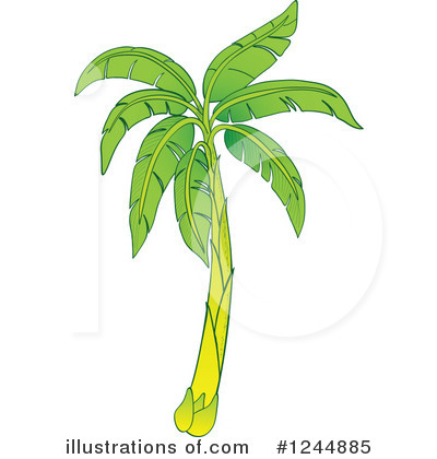 Banana Clipart #1244885 by Zooco