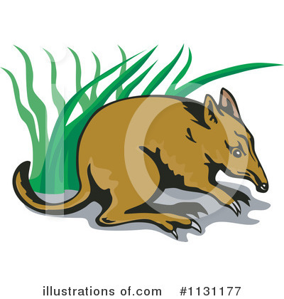 Royalty-Free (RF) Bandicoot Clipart Illustration by patrimonio - Stock Sample #1131177