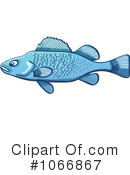 Bass Fish Clipart #1066867 by Zooco