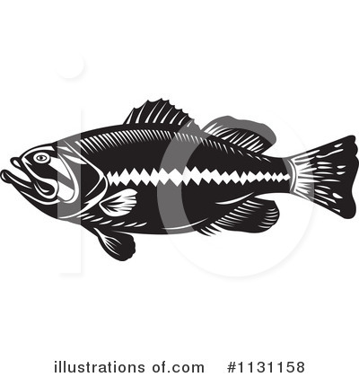 Royalty-Free (RF) Bass Fish Clipart Illustration by patrimonio - Stock Sample #1131158