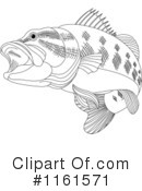 Bass Fish Clipart #1161571 by Pushkin