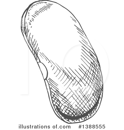 Royalty-Free (RF) Bean Clipart Illustration by Vector Tradition SM - Stock Sample #1388555