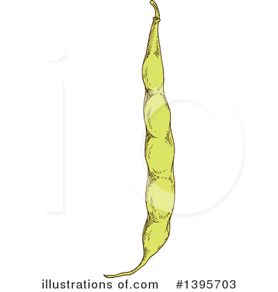 Royalty-Free (RF) Bean Clipart Illustration by Vector Tradition SM - Stock Sample #1395703