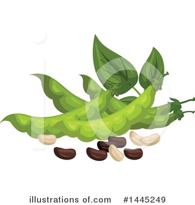 Soy Bean Clipart #1445249 by Vector Tradition SM