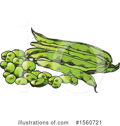 Royalty-Free (RF) Beans Clipart Illustration by Lal Perera - Stock Sample #1560721