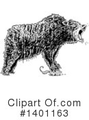 Bear Clipart #1401163 by lineartestpilot