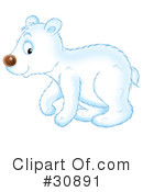 Bear Clipart #30891 by Alex Bannykh