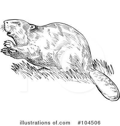 Royalty-Free (RF) Beaver Clipart Illustration by patrimonio - Stock Sample #104506