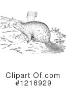 Beaver Clipart #1218929 by Picsburg