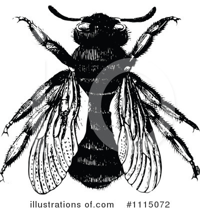 Royalty-Free (RF) Bee Clipart Illustration by Prawny Vintage - Stock Sample #1115072