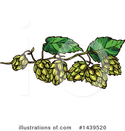 Hops Clipart #1439520 by Vector Tradition SM