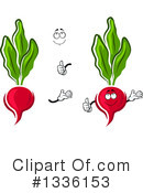 Beet Clipart #1336153 by Vector Tradition SM