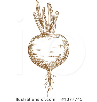 Royalty-Free (RF) Beet Clipart Illustration by Vector Tradition SM - Stock Sample #1377745