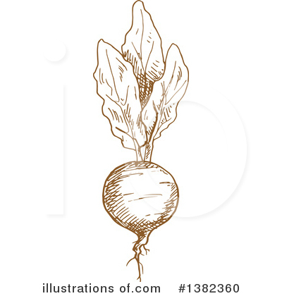 Turnip Clipart #1382360 by Vector Tradition SM