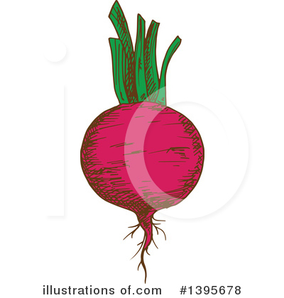 Beets Clipart #1395678 by Vector Tradition SM