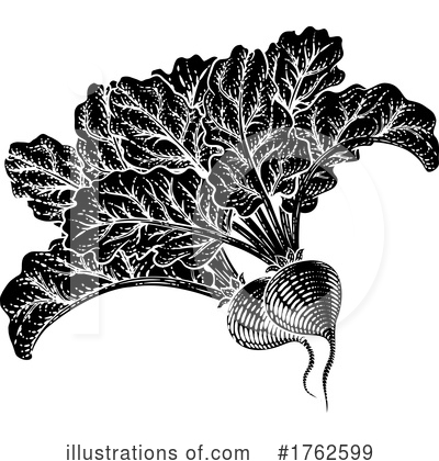 Royalty-Free (RF) Beet Clipart Illustration by AtStockIllustration - Stock Sample #1762599