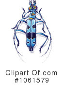 Beetle Clipart #1061579 by Zooco