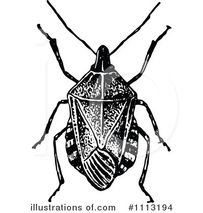 Royalty-Free (RF) Beetle Clipart Illustration by Prawny Vintage - Stock Sample #1113194