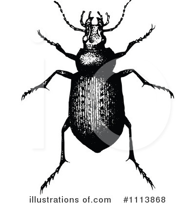 Royalty-Free (RF) Beetle Clipart Illustration by Prawny Vintage - Stock Sample #1113868
