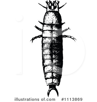 Royalty-Free (RF) Beetle Clipart Illustration by Prawny Vintage - Stock Sample #1113869