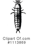 Beetle Clipart #1113869 by Prawny Vintage
