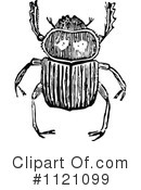 Beetle Clipart #1121099 by Prawny Vintage
