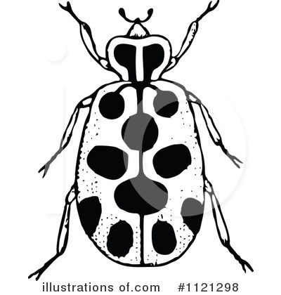 Royalty-Free (RF) Beetle Clipart Illustration by Prawny Vintage - Stock Sample #1121298