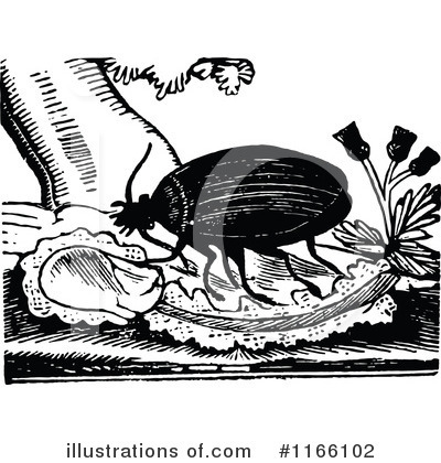 Royalty-Free (RF) Beetle Clipart Illustration by Prawny Vintage - Stock Sample #1166102
