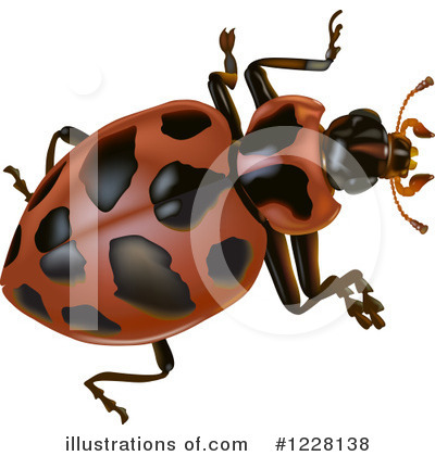 Royalty-Free (RF) Beetle Clipart Illustration by dero - Stock Sample #1228138