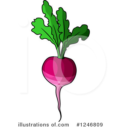 Royalty-Free (RF) Beets Clipart Illustration by Vector Tradition SM - Stock Sample #1246809