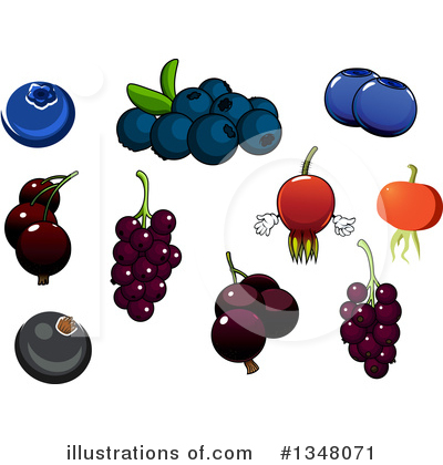 Rose Hip Clipart #1348071 by Vector Tradition SM