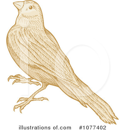 Royalty-Free (RF) Bird Clipart Illustration by Any Vector - Stock Sample #1077402