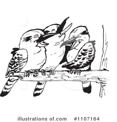 Kookaburra Clipart #1107164 by Dennis Holmes Designs
