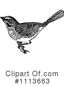 Bird Clipart #1113663 by Prawny Vintage