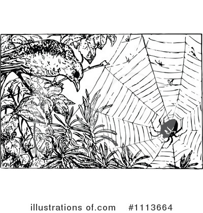 Spider Clipart #1113664 by Prawny Vintage