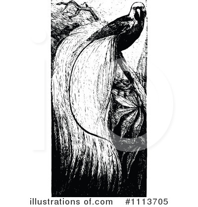 Royalty-Free (RF) Bird Clipart Illustration by Prawny Vintage - Stock Sample #1113705