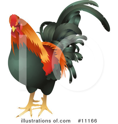 Rooster Clipart #11166 by AtStockIllustration